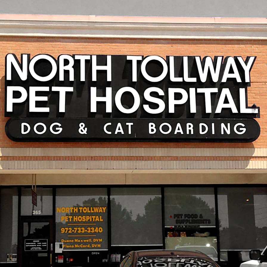 North Tollway Pet Hospital in Dallas